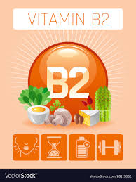 vitamin Importance