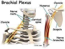 Brachial Plexus Injury