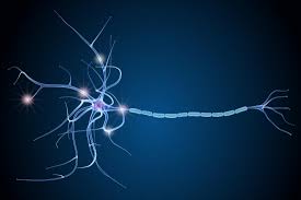 sclerosis
