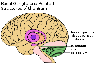 Tourette’s Syndrome