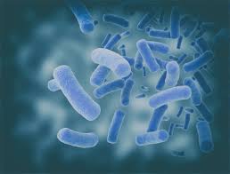 amyotrophic lateral sclerosis